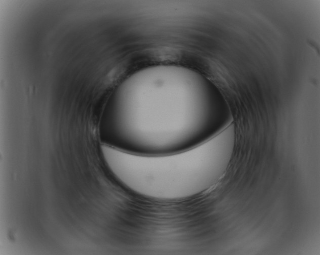 X0000097780176200803070921