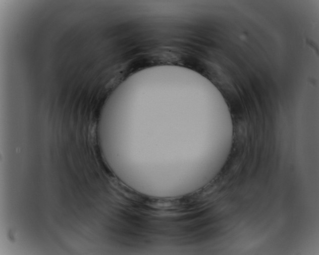 X0000097780177200803070921