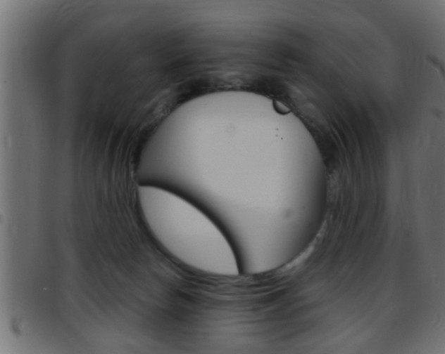 X0000097780178200803070921