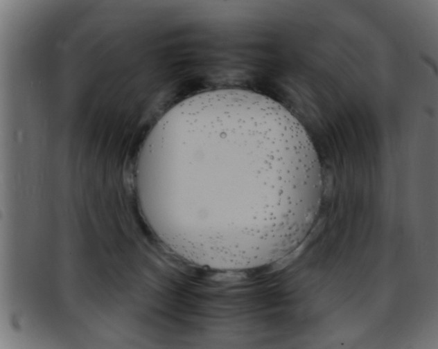 X0000097780179200803070921