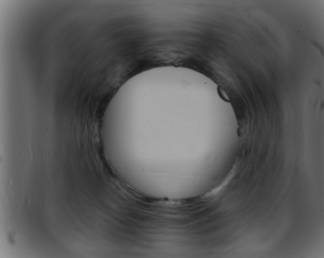 X0000097780182200803070921