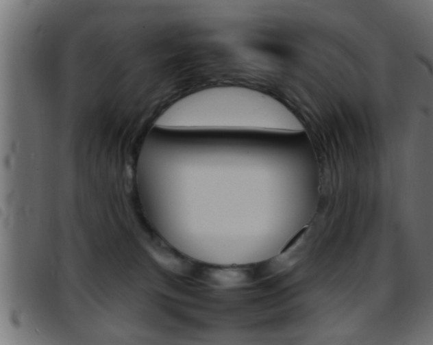 X0000097780183200803070921