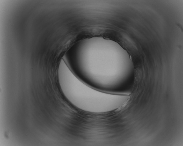 X0000097780184200803070921
