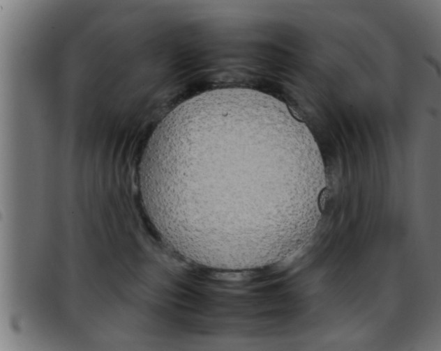 X0000097780187200803070921