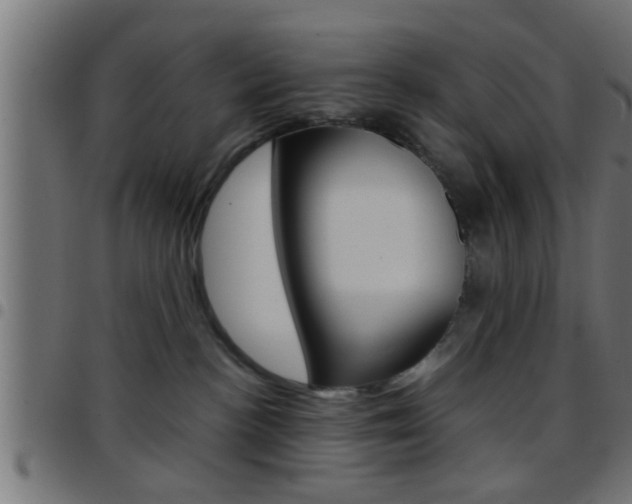 X0000097780188200803070921