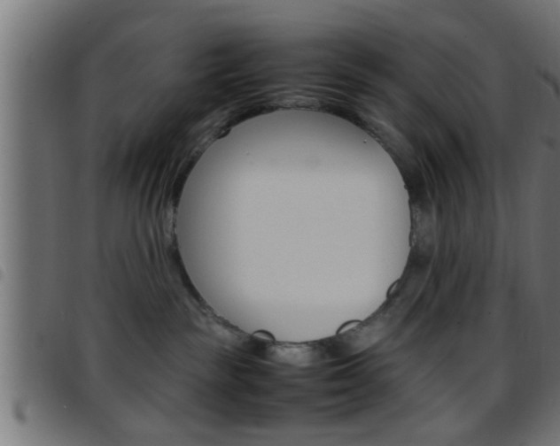 X0000097780189200803070921