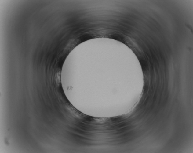 X0000097780190200803070921