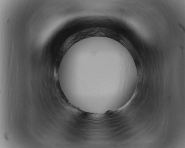 X0000097780191200803070921