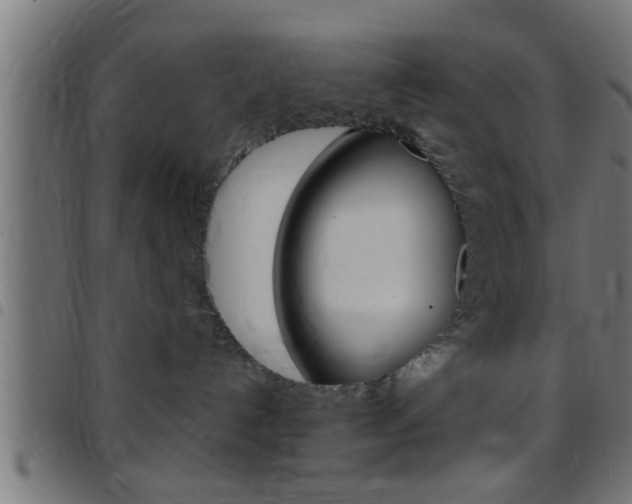 X0000097780192200803070921