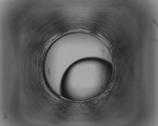 X0000097780193200803070920