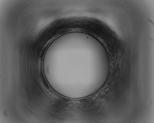 X0000097780194200803070920