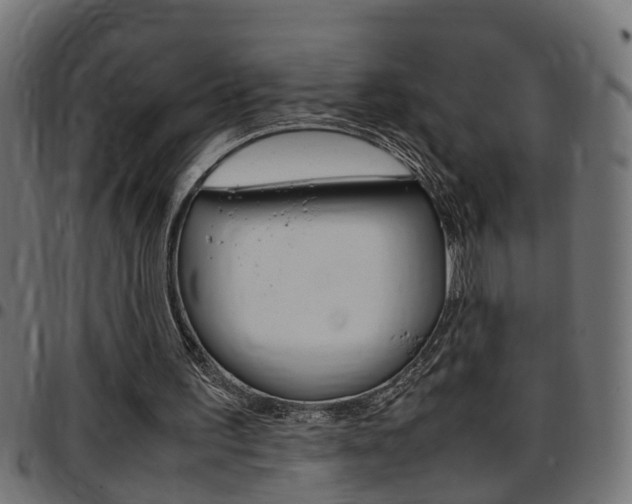 X0000097780195200803070920