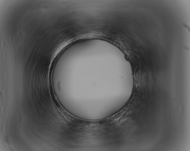 X0000097780196200803070920