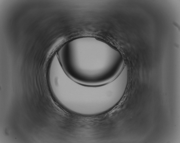 X0000097780197200803070920