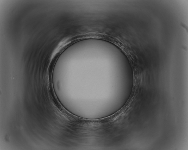 X0000097780198200803070920