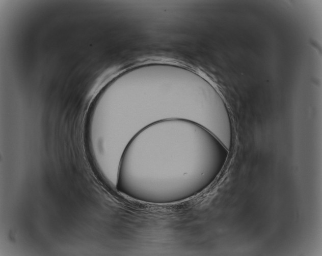 X0000097780199200803070920