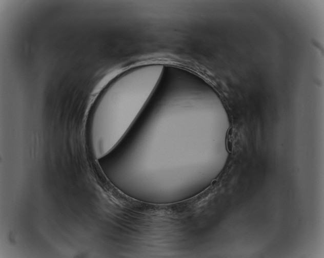 X0000097780200200803070920
