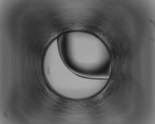 X0000097780201200803070920