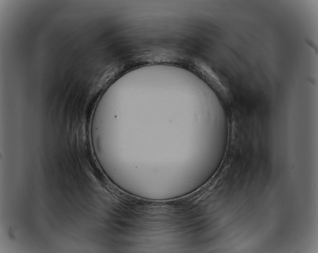 X0000097780202200803070920