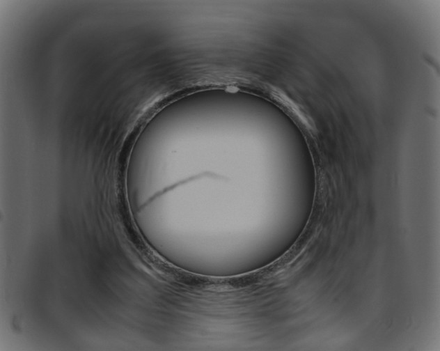 X0000097780203200803070920