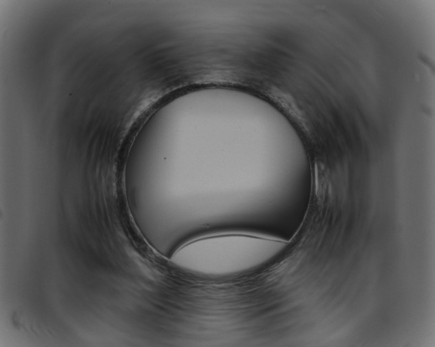 X0000097780204200803070920