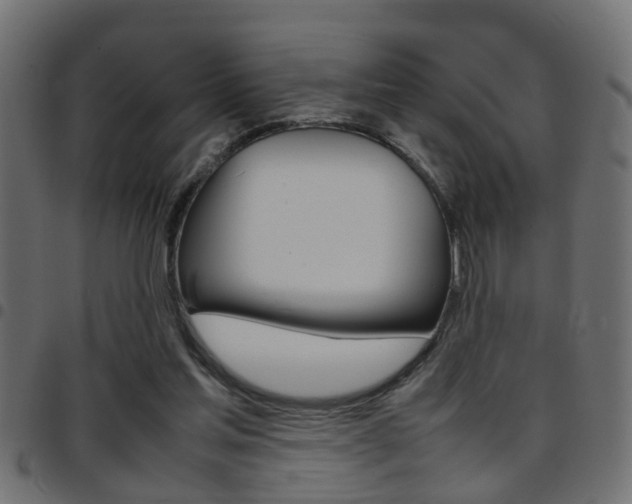 X0000097780205200803070920