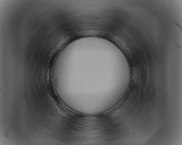 X0000097780206200803070920