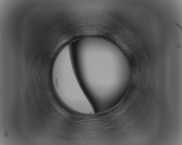 X0000097780207200803070920