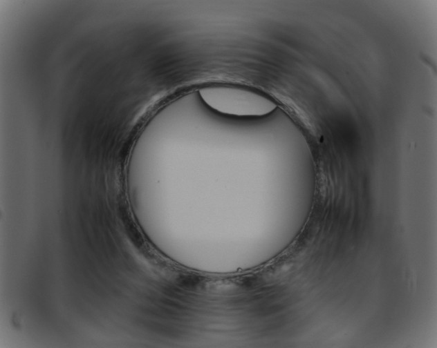 X0000097780208200803070920