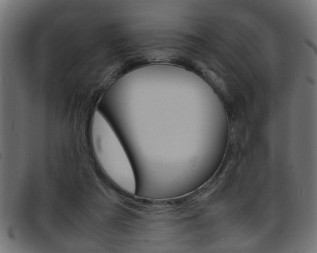 X0000097780209200803070920