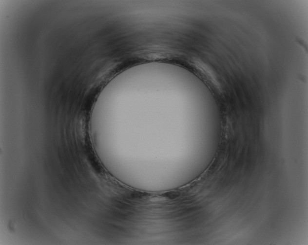 X0000097780210200803070920