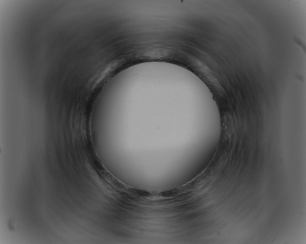 X0000097780212200803070920