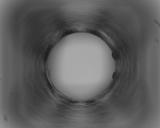 X0000097780213200803070920