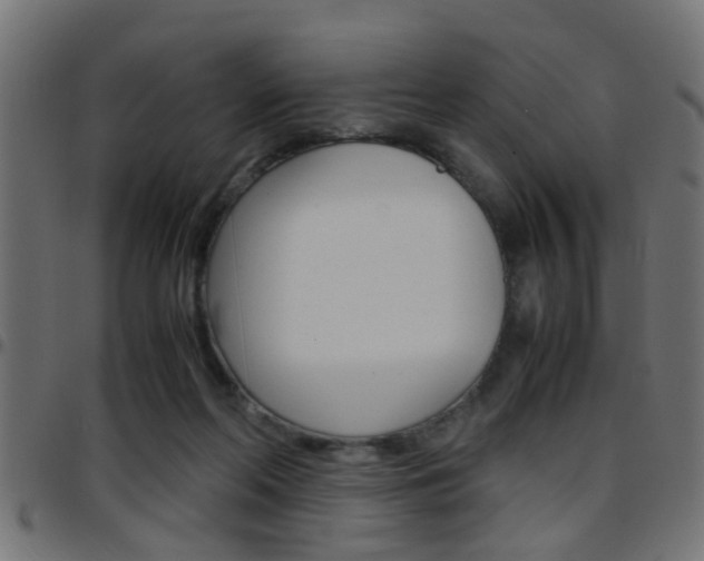 X0000097780214200803070920