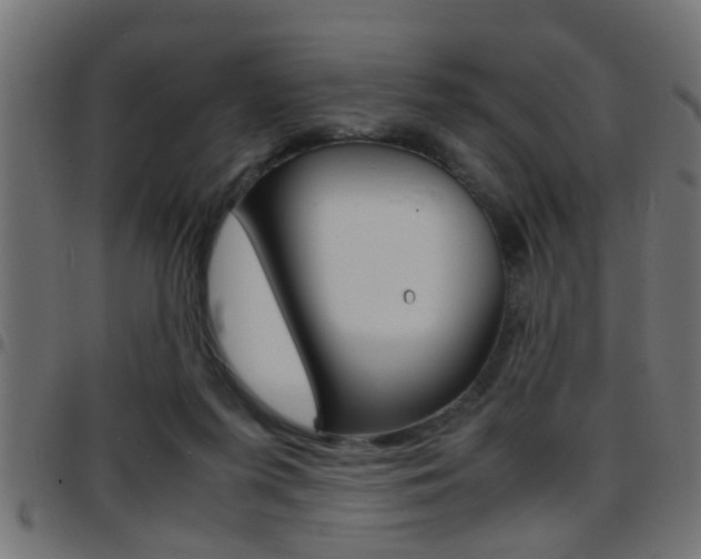 X0000097780215200803070920