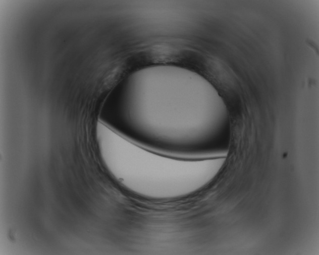 X0000097780219200803070920
