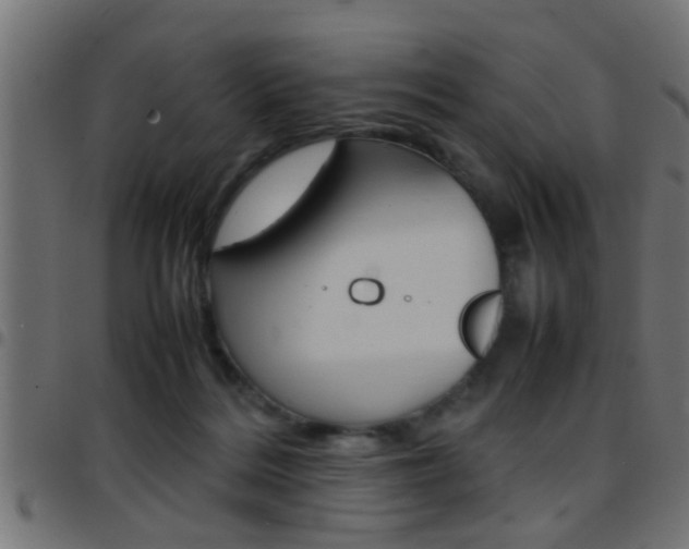 X0000097780220200803070920