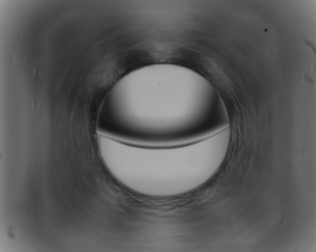 X0000097780221200803070920