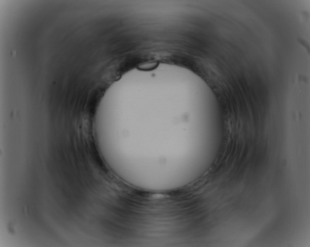 X0000097780222200803070920