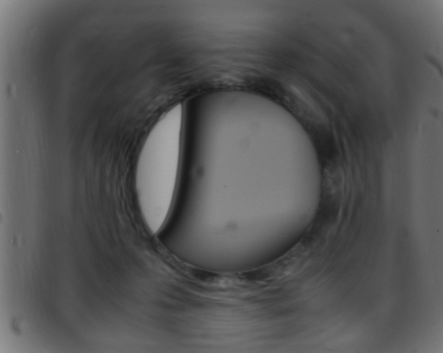 X0000097780223200803070920