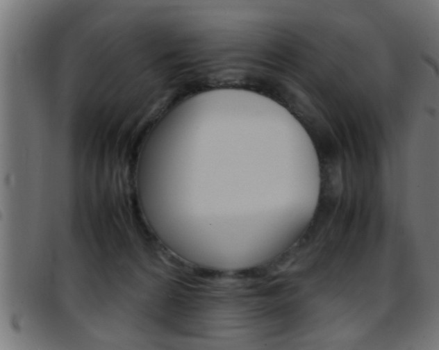 X0000097780224200803070920
