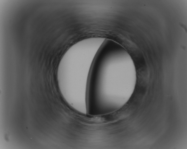 X0000097780225200803070920