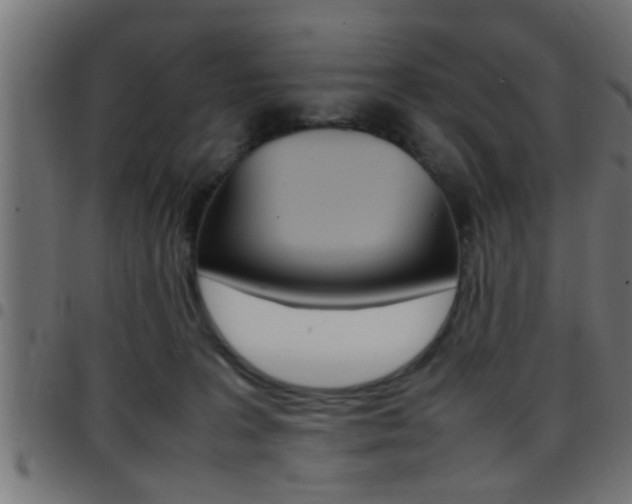 X0000097780227200803070920