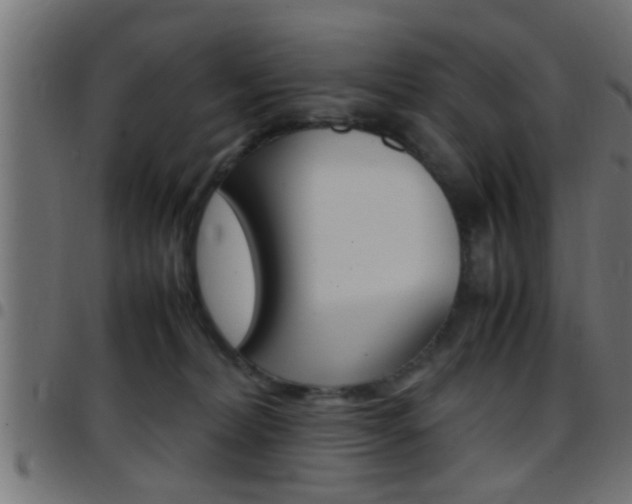 X0000097780228200803070920