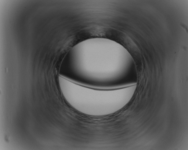 X0000097780229200803070920