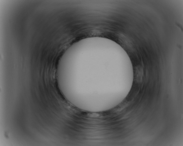 X0000097780230200803070920