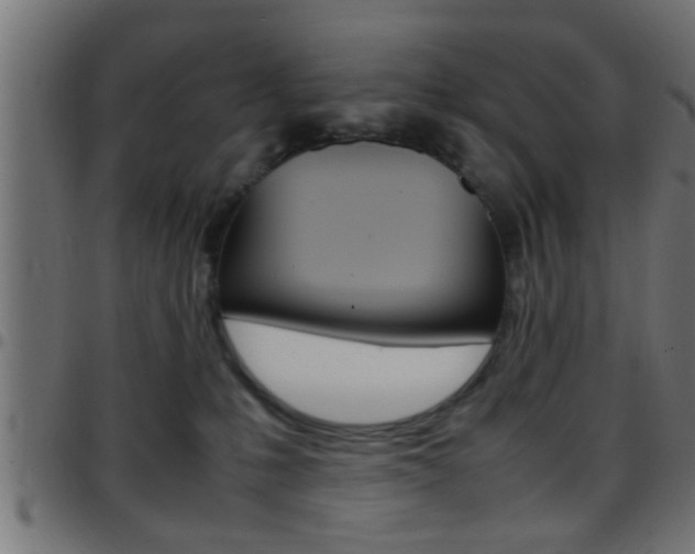 X0000097780231200803070920