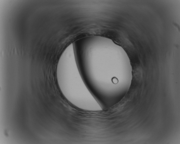 X0000097780233200803070920