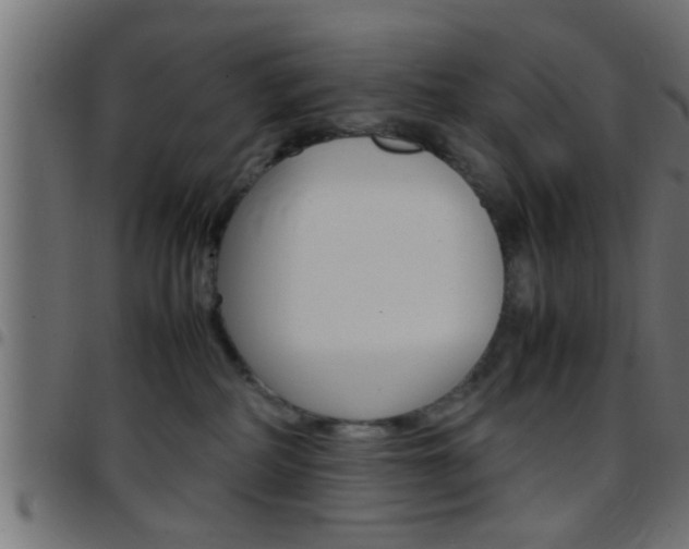 X0000097780234200803070920