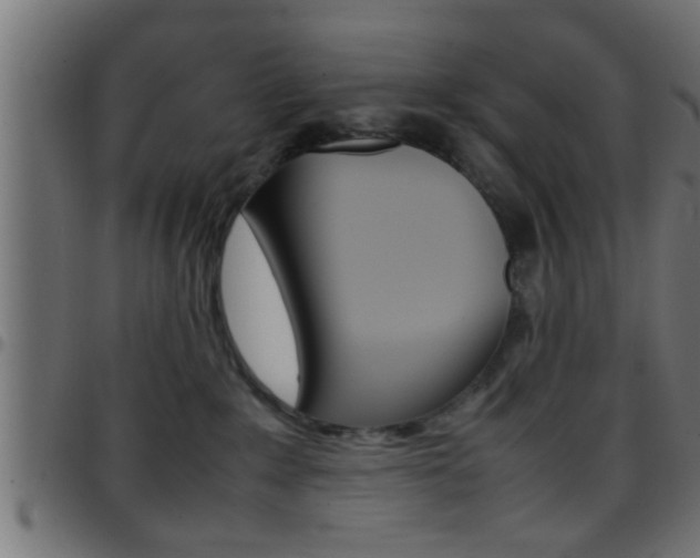 X0000097780235200803070920